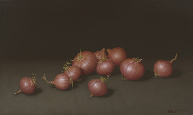 Josep-Enric Balaguer: Onions, 2005 - 33 x 55 cm